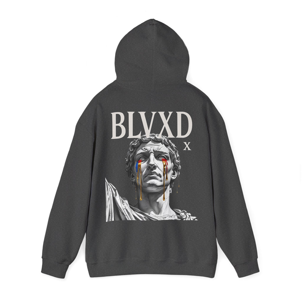 Unisex Heavy Blend™ Hooded Sweatshirt | Cozy Pullover Hoodie | Casual Streetwear Hooded Jumper | Soft Warm Everyday Sweater