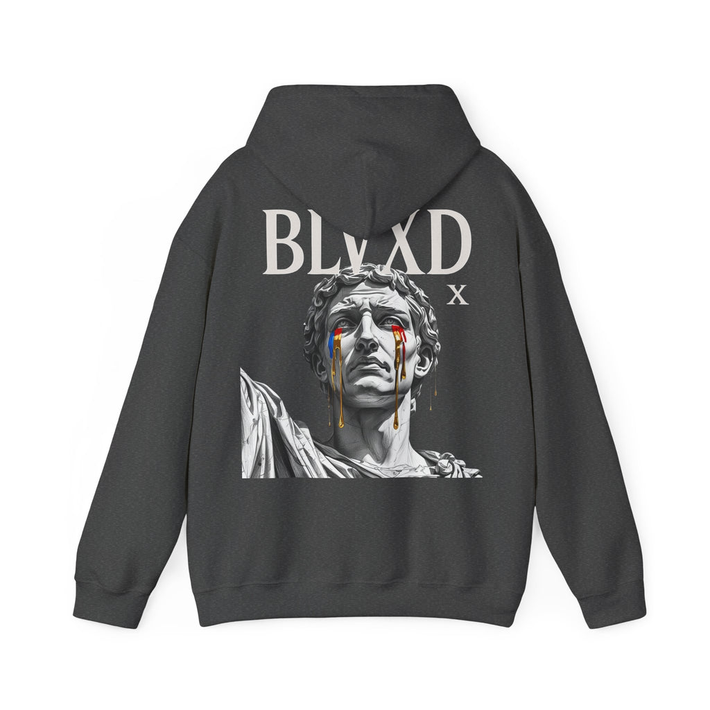 Unisex Heavy Blend™ Hooded Sweatshirt | Cozy Pullover Hoodie | Casual Streetwear Hooded Jumper | Soft Warm Everyday Sweater